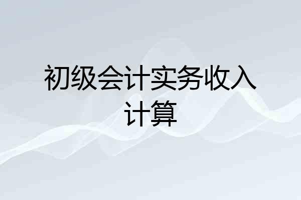 初级会计实务收入计算