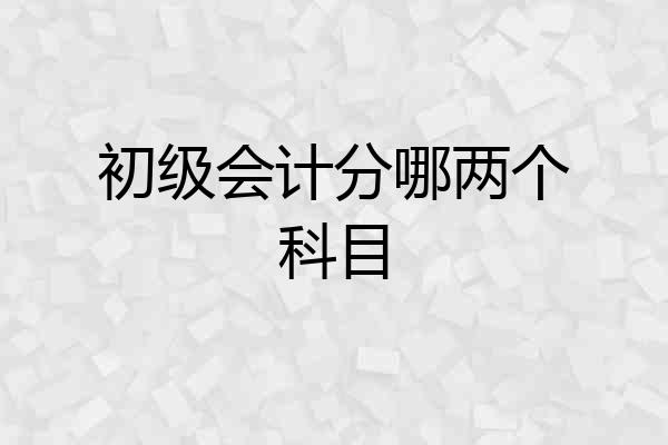 初级会计分哪两个科目