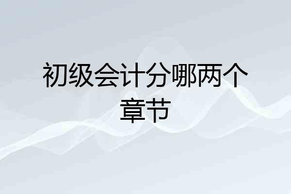 初级会计分哪两个章节