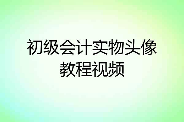 初级会计实物头像教程视频