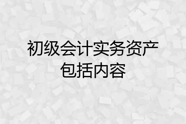 初级会计实务资产包括内容