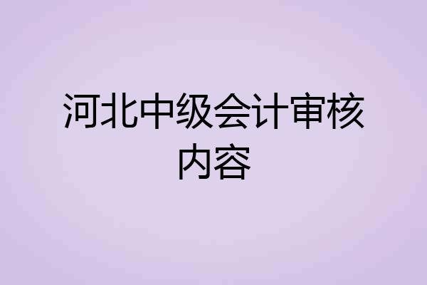 河北中级会计审核内容