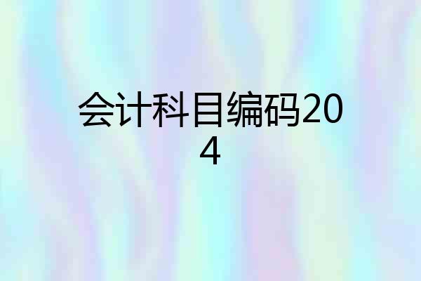 会计科目编码204