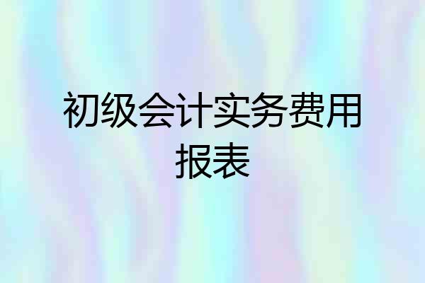 初级会计实务费用报表
