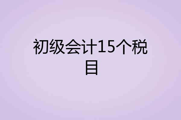 初级会计15个税目