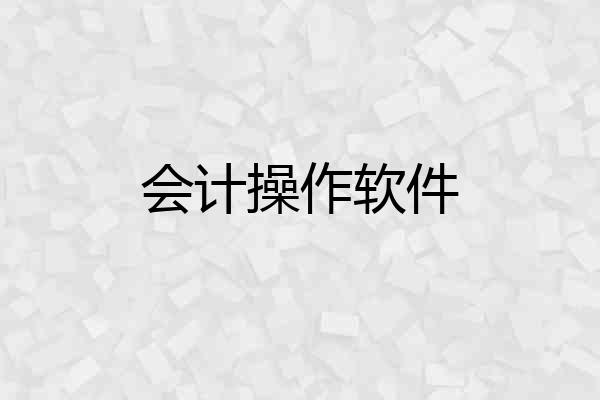 会计操作软件