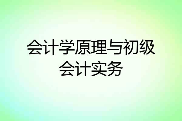 会计学原理与初级会计实务