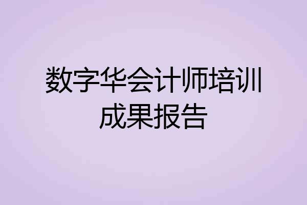 数字华会计师培训成果报告