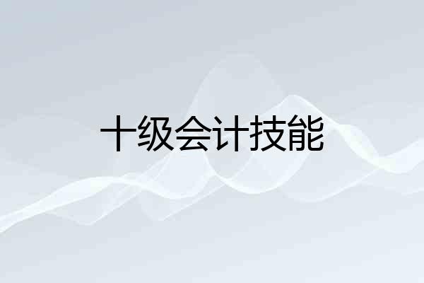 十级会计技能