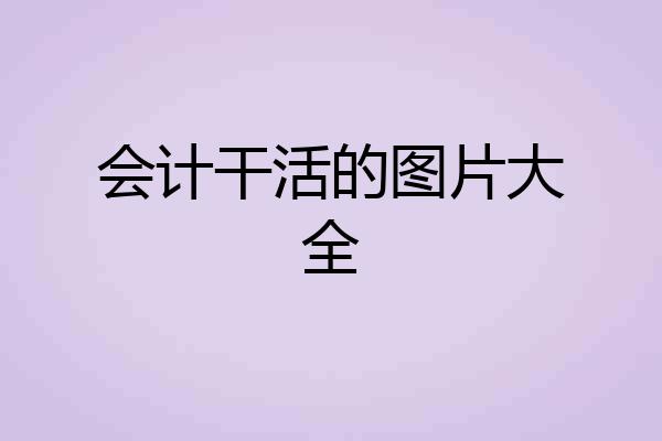 会计干活的图片大全