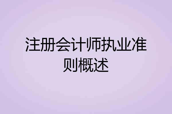 注册会计师执业准则概述
