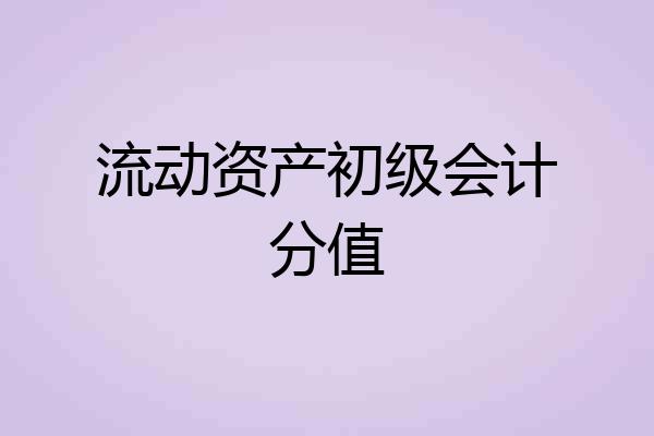 流动资产初级会计分值