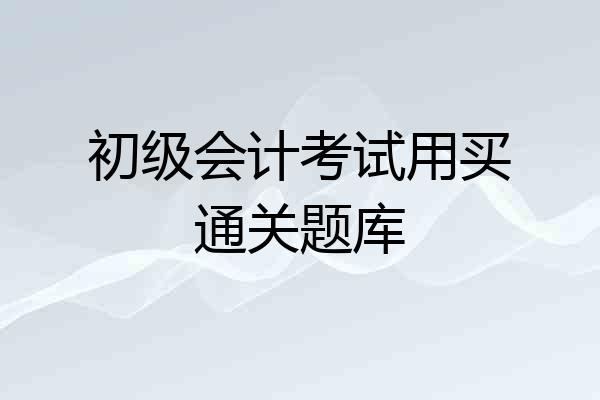 初级会计考试用买通关题库