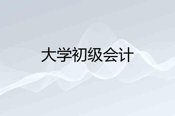 大学初级会计
