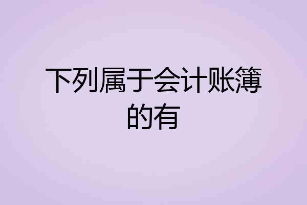 下列属于会计账簿的有