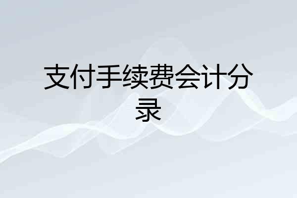 支付手续费会计分录