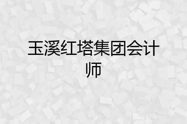 玉溪红塔集团会计师