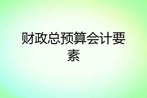财政总预算会计要素