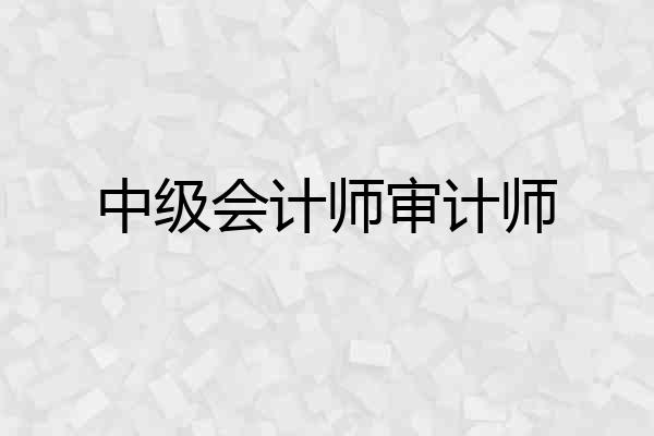 中级会计师审计师