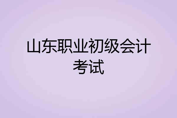 山东职业初级会计考试