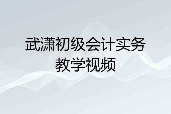武潇初级会计实务教学视频
