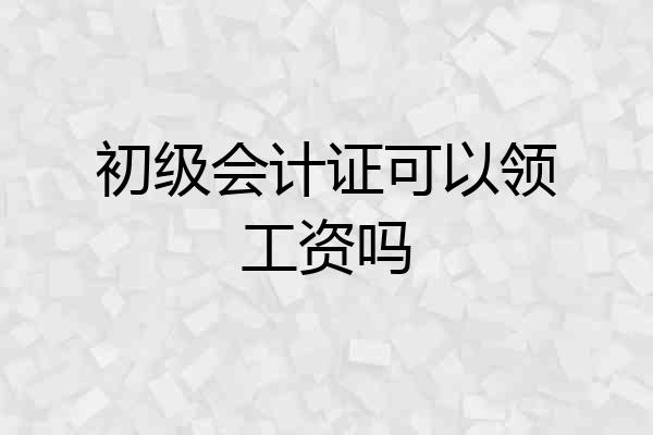 初级会计证可以领工资吗