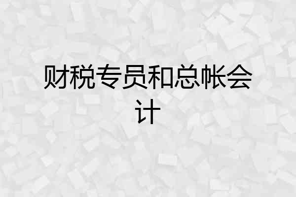 财税专员和总帐会计