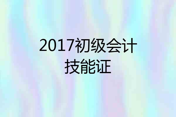 2017初级会计技能证