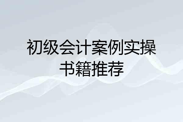 初级会计案例实操书籍推荐