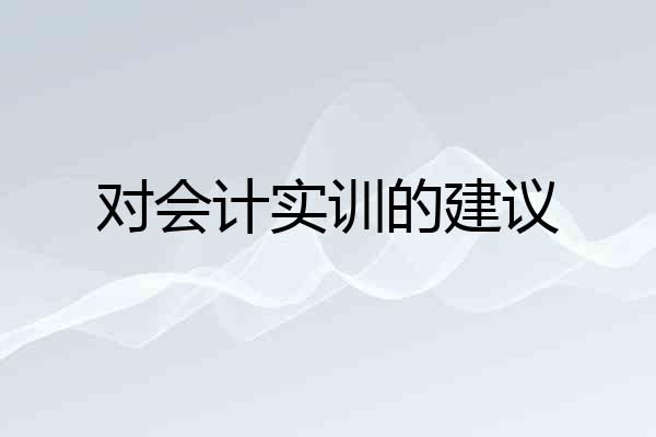对会计实训的建议