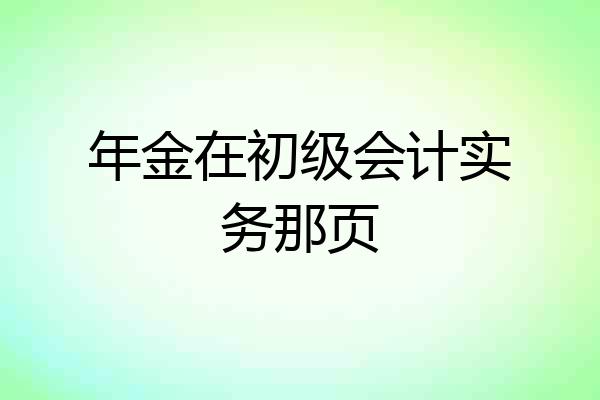 年金在初级会计实务那页