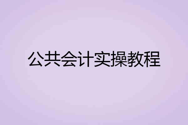 公共会计实操教程