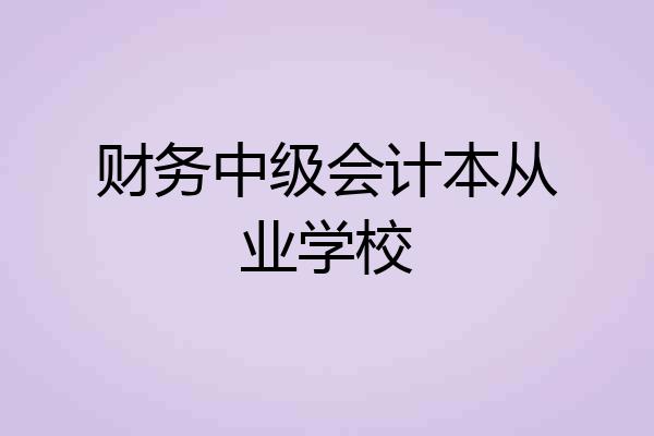 财务中级会计本从业学校
