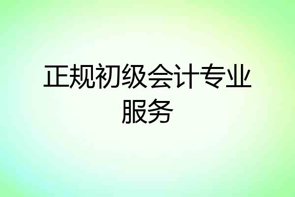 正规初级会计专业服务