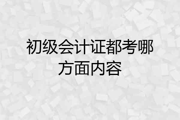 初级会计证都考哪方面内容