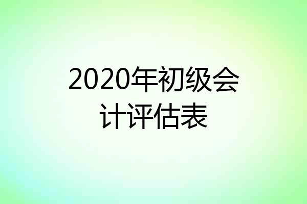 2020年初级会计评估表