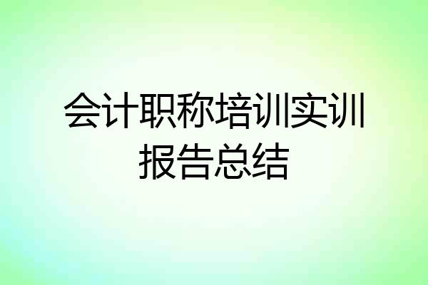 会计职称培训实训报告总结