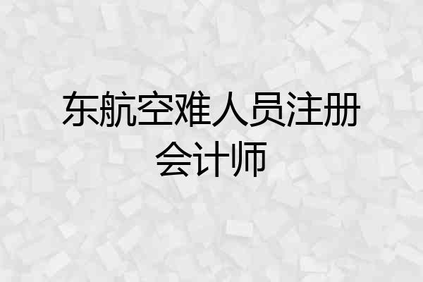东航空难人员注册会计师