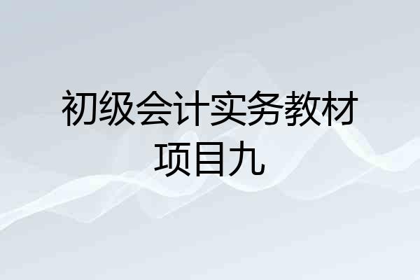 初级会计实务教材项目九