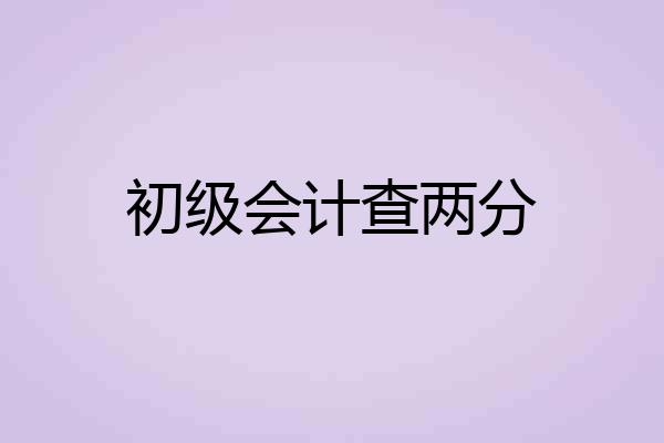 初级会计查两分