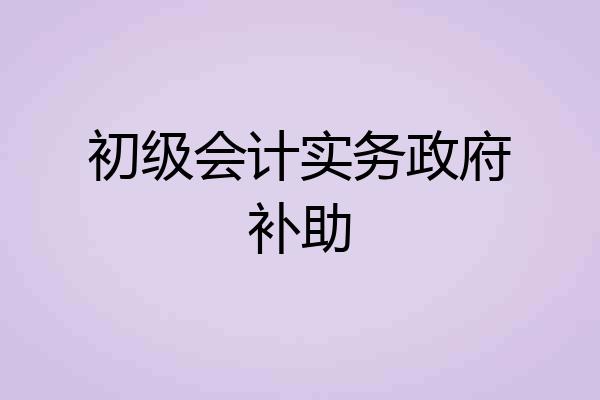 初级会计实务政府补助