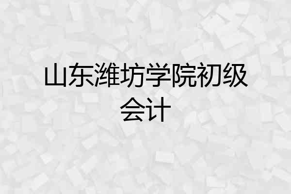 山东潍坊学院初级会计