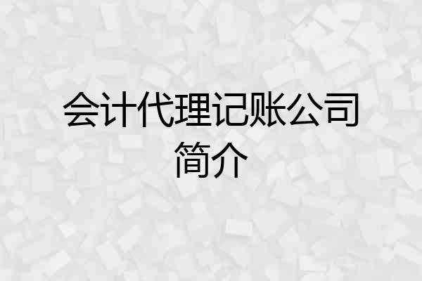 会计代理记账公司简介