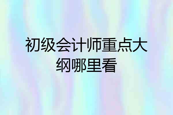 初级会计师重点大纲哪里看