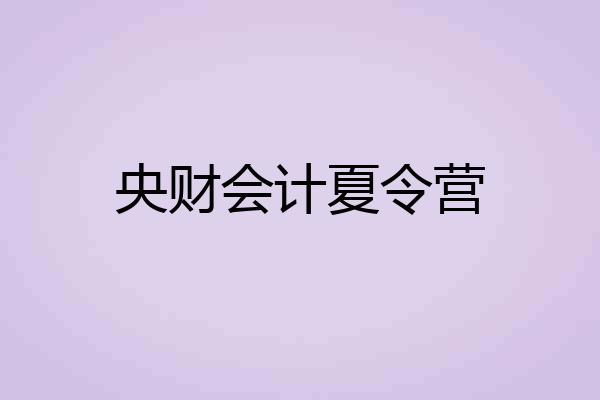 央财会计夏令营
