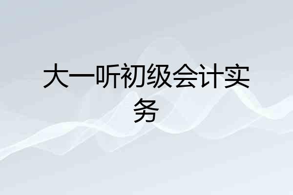 大一听初级会计实务