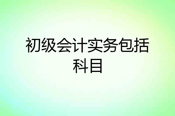 初级会计实务包括科目