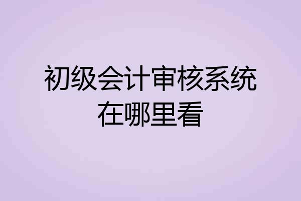 初级会计审核系统在哪里看