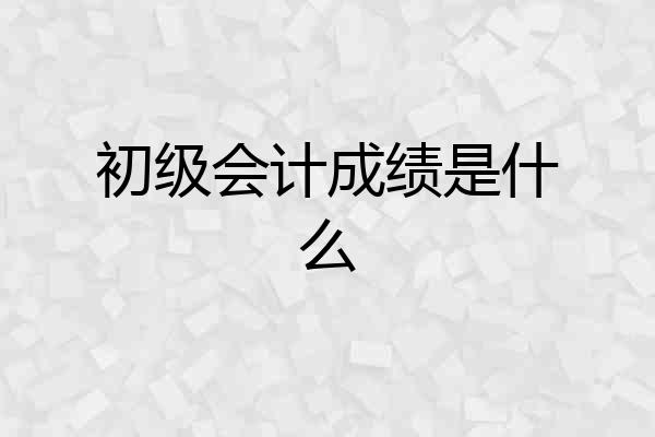 初级会计成绩是什么