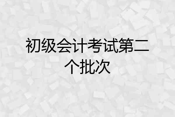 初级会计考试第二个批次